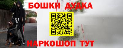 сатива Лесосибирск