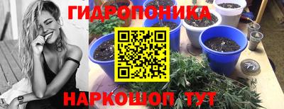 индика Малоярославец