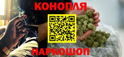 сатива Лесосибирск