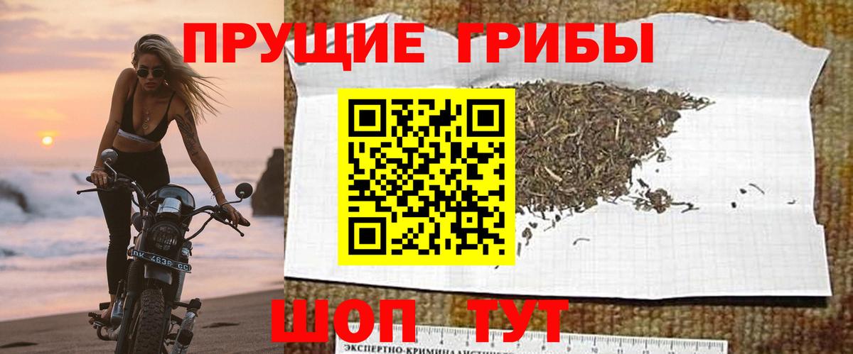 Галлюциногенные грибы прущие грибы Якутск