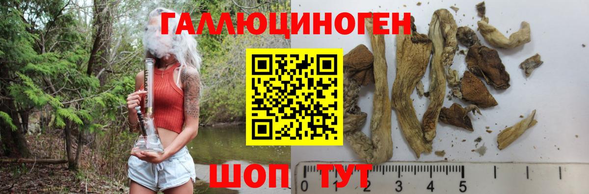 Якутск  Галлюциногенные грибы ЛСД  Вход с VPN  Галлюциногенные грибы GOLDEN TEACHER 